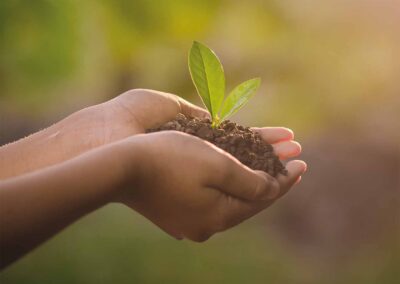 hand and plant