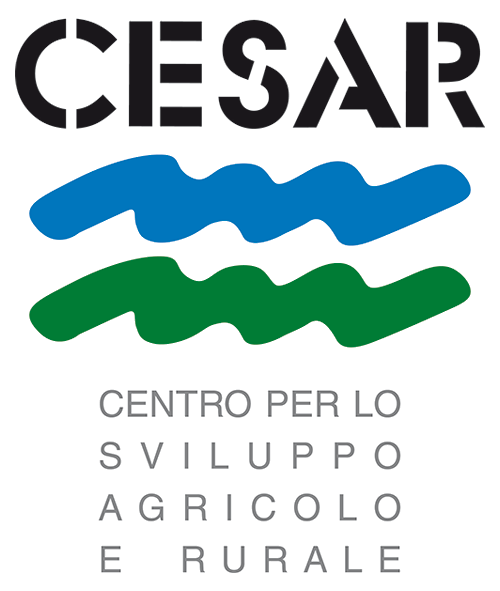 logo CESAR