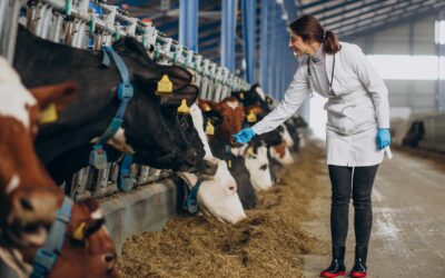 Adopting One Health: An innovative step in agricultural education and livestock management